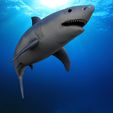 Shark1.13.jpg STL file Great white shark・3D printable model to download