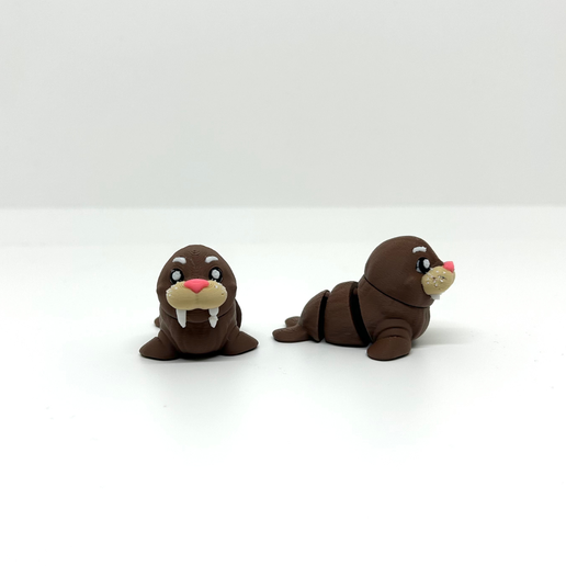 Progetto-senza-titolo-11.png Mandris flexíveis