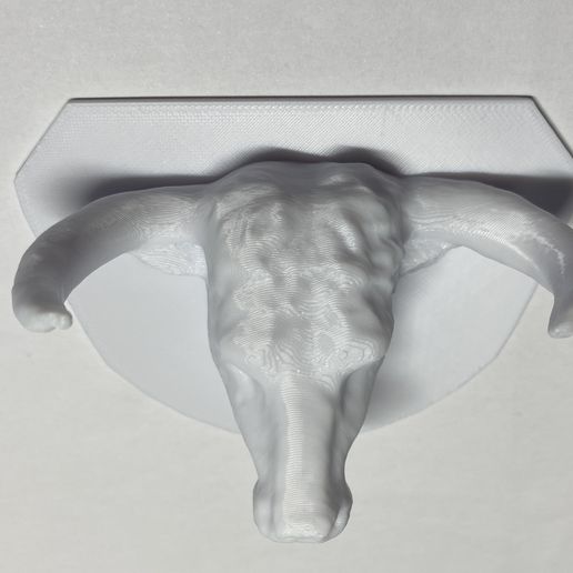 IMG_5672_1.jpg Bullhead  Stierkopf Stier Taurus