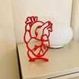Diseño-corazon-anatomico-3d.png 3d anatomical heart