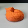 IMG_2820.jpg Sleeping Fox