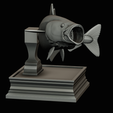 coalfish-open-mouth-statue-box-49.png COALFISH / POLLACHIUS VIRENS trophy with storage space for 3d printing