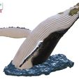 Humpback-Whale-Head-off-the-Water-color-12.jpg Humpback Whale Head off the Water 3D printable model