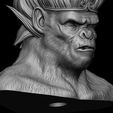 10.JPG King Monkey 3D print model