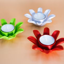 DSC07257.jpg Archivo STL Flor candelabro・Objeto imprimible en 3D para descargar