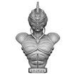 15.jpg Guyver 1991 Büste. 3d druckbare STL