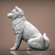 shiba-inu5.jpg shiba inu 3D print model