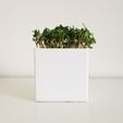 petit_pot_carr__imprim__en_3D_2.jpg Free STL file Little Square Planter・3D printer design to download
