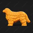 1802-Bergamasco_Pose_01.jpg Bergamasco Dog 3D Print Model Pose 01
