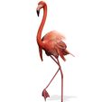 A12.jpg DOWNLOAD Flamingo 3D MODEL ANIMATED - BLENDER - 3DS MAX - CINEMA 4D - FBX - MAYA - UNITY - UNREAL - OBJ -  Flamingo DINOSAUR DINOSAUR Flamingo DINOSAUR BIRD