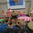 Bearded Dragon Articulated Toy, Print-In-Place Body, Snap-Fit Head, Cute Flexi