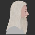 35.jpg Dumbledore from Harry Potter bust for full color 3D printing