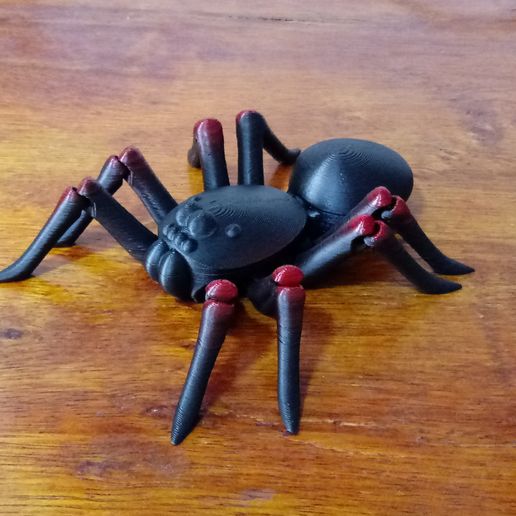 20210101_124217.jpg flexi print  black tarantula spider