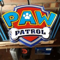 20170830_002647.jpg Paw Patrol Multi Colour Logo