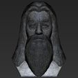 24.jpg Dumbledore from Harry Potter bust 3D printing ready stl obj