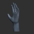 2.jpg low-poly rigging hand model, low-poly rigging hand model