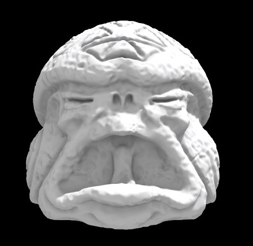 Olmecantli HeadToad 03.jpg SAURIAN OLMECANTLI HEADTOAD 03