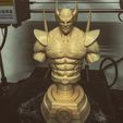 51912011_10218625269521999_5938891222822158336_n.jpg Wolverine Bust - Marvel 3D print model 3D print model