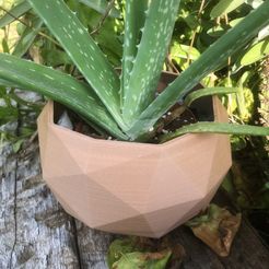 VASE - 10