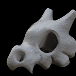 untitled-Cámara-2.472.jpg Skull cubone