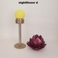 Nightflower-d1.jpg Nightflower-d