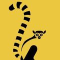 3DLemur
