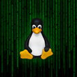 Presentation_2.png ТАЛИСМАН TUX LINUX / ТАЛИСМАН LINUX