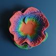 03.jpg Bowl “Reniformis Coral”