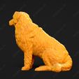 1891-Bernese_Mountain_Dog_Pose_06.jpg Bernese Mountain Dog 3D Print Model Pose 06