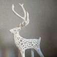 52565950_411340746100579_8249604480136380416_n.jpg Voronoi Deer