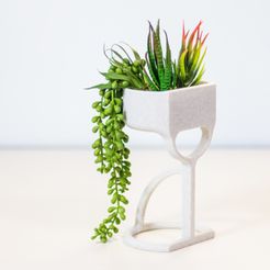 _MG_2263.jpg 3D file MarioAmmuro | pot for succulents・3D print design to download