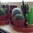 Theo_Cactus_Collection.jpg Free STL file Cactus in a Pot・Template to download and 3D print