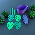 All-Printed-Pieces.jpg Monstera Coasters Plant and Pot