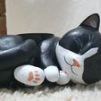 Maceta gato durmiendo / Sleeping Cat plant pot