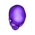 skull.stl STL file Real skull・Model to download and 3D print