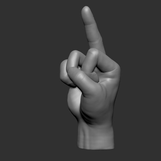 ZBrush-Document2.jpg middle finger 3D printable model