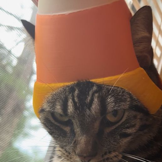 IMG_1603.jpeg 🍬CandyCorn Cat Helmet🍬 [Disfraz]