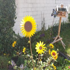 sunflower.jpg Sunflower windmill
