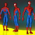 Spiderman Anatomy 2.jpg Spiderman Anatomy