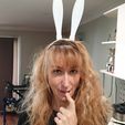 Long_Modelled.jpg STL file Rabbit Ears Hair Band・3D printer design to download
