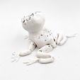 IMG_4439.jpg Rage face Flexi Toad Frog articulated print-in-place no supports Meme