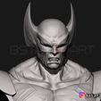 09.JPG Wolverine Bust - X men - from Marvel