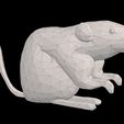 render-9.jpg Low Poly Mouse