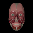 ROSTRO-MUSCULAR.png Muscular Face