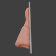 4.png 3D Nose Anatomy Model