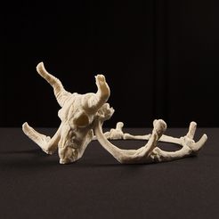 skulls_2_display_large.jpg Archivo STL gratis Corona de cráneos con historia y Tiara・Modelo para descargar y imprimir en 3D, alterboy987