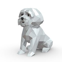 1.jpg Download OBJ file Maltese dog • Design to 3D print, stiv_3d