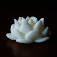 Capture_d_e_cran_2016-03-29_a__09.58.23.png Free STL file lotus flower・3D printable model to download, bs3