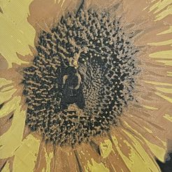 Sunflower-with-Bee-closeup.jpg Sunflower 3D PRINTED PICTURE (HUEFORGE)