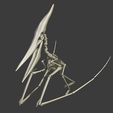 04.jpg Pteranodon: Complete 3D skeletal anatomy.